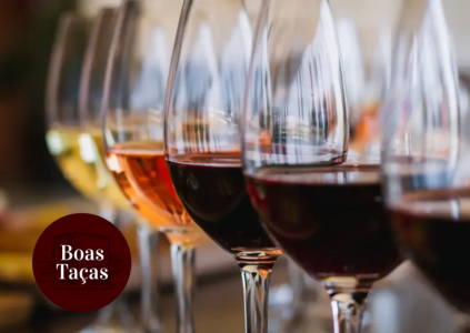 Uma jornada entre os mundos corporativo e do vinho