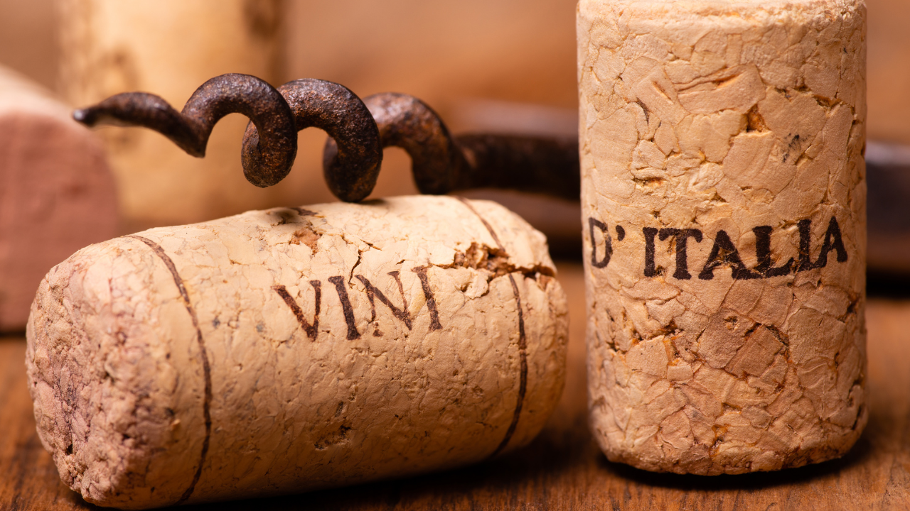 História do vinho no Brasil - dos Italianos aos Dias Atuais