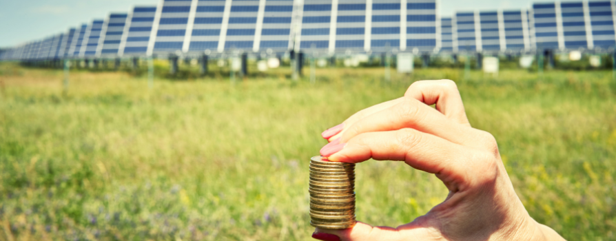 Green Money estimula os investimentos responsáveis