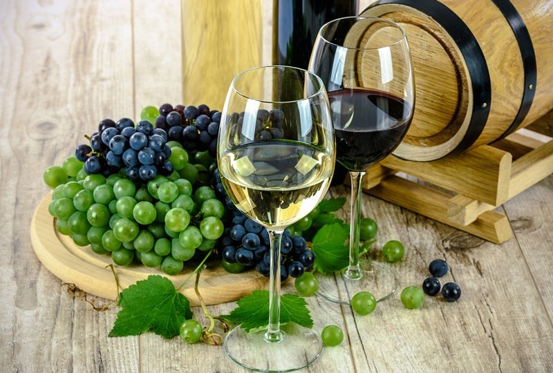As Uvas e Seus Vinhos