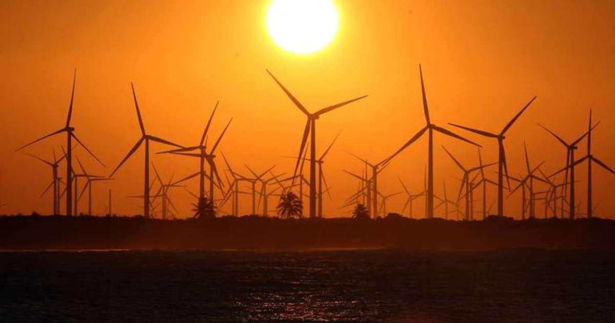 Empresária economiza mais de R$ 30 mil com energia sustentável