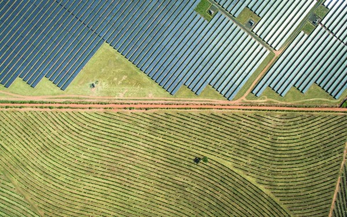Emissões de dívida 'verde' do Brasil caíram no primeiro semestre