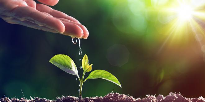 ESG na Prática – o novo protagonismo sustentável das organizações