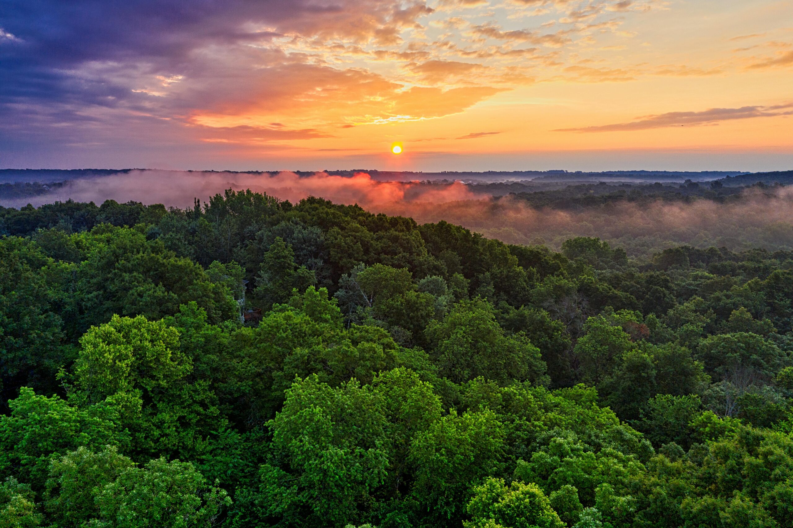 Bioeconomia na Amazônia e mudanças climáticas