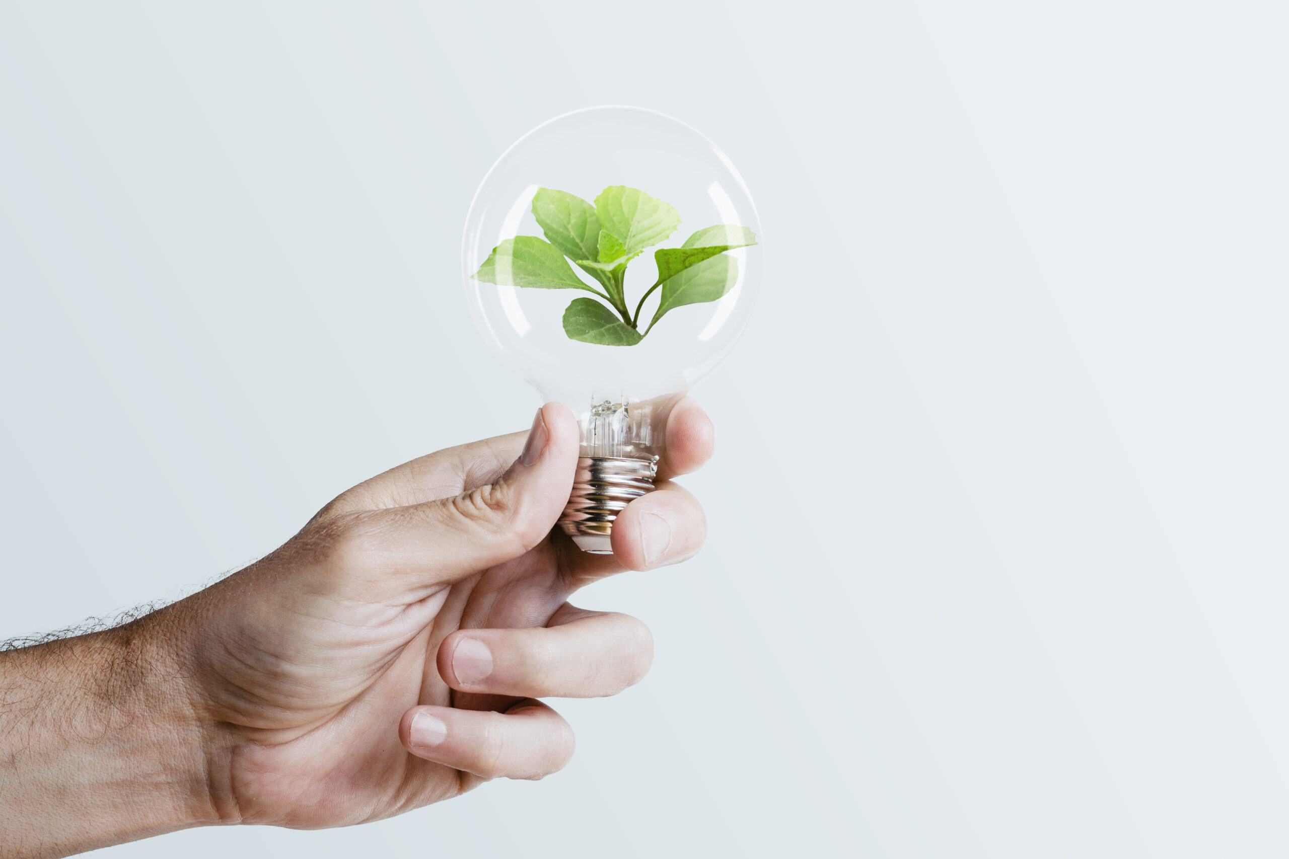 Promovendo um Futuro Sustentável: O Papel Vital da Eficiência Energética na Redução das Emissões.