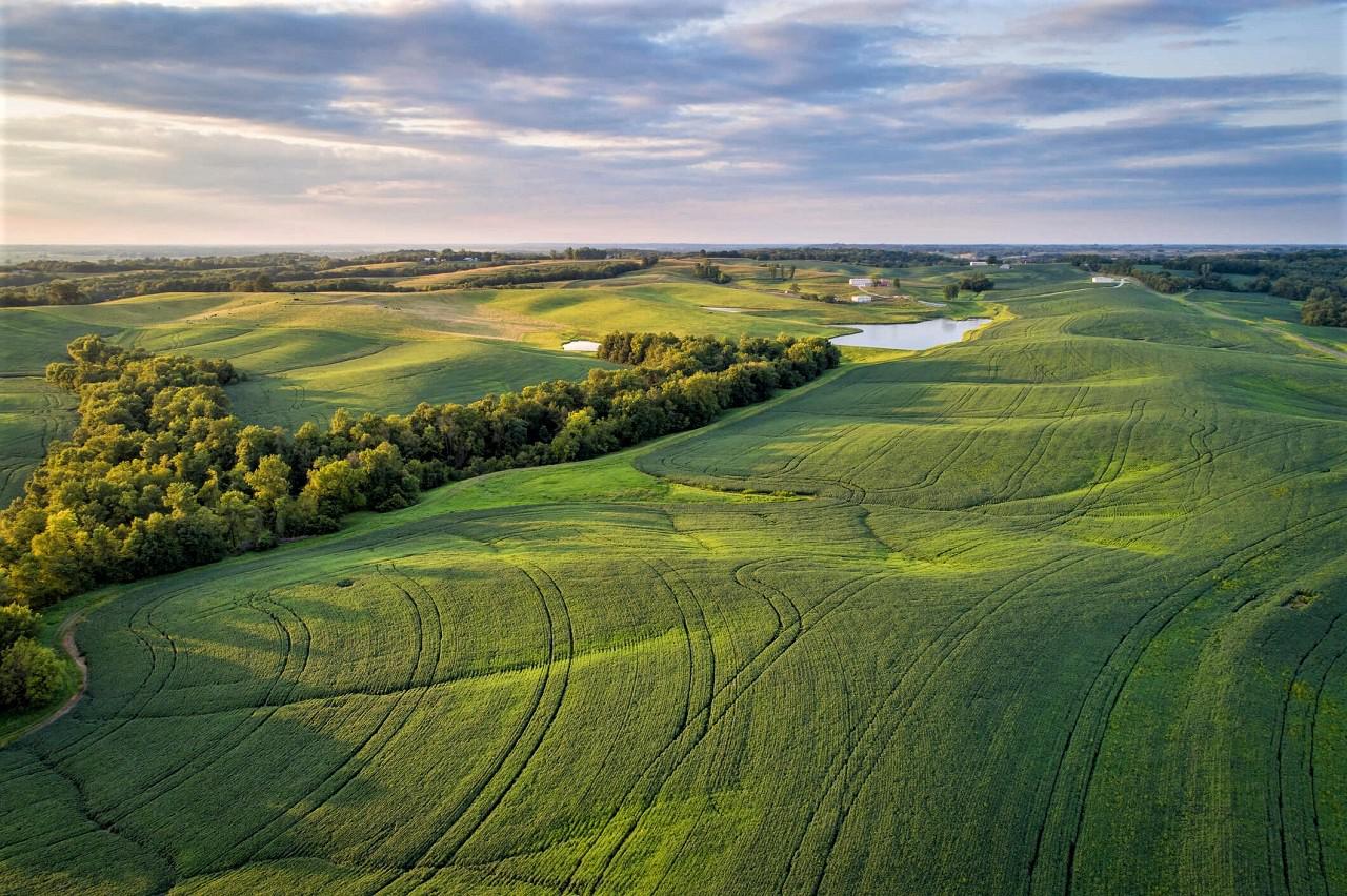 O agronegócio brasileiro não teme o Green Deal